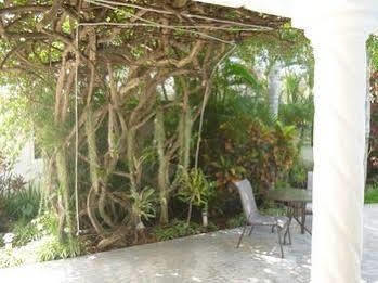 Baldwin'S Guest House Cozumel Exterior foto